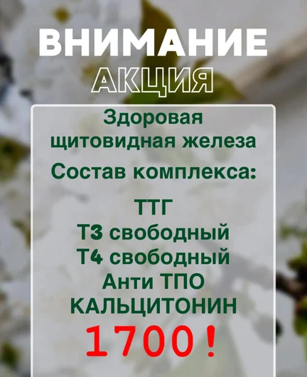 3e3ffbd9-41be-4c39-b5a5-c8e9909c2c6c-614ca3dc-b8e9-470b-94ae-8fbf8abdc8e4.jpg
